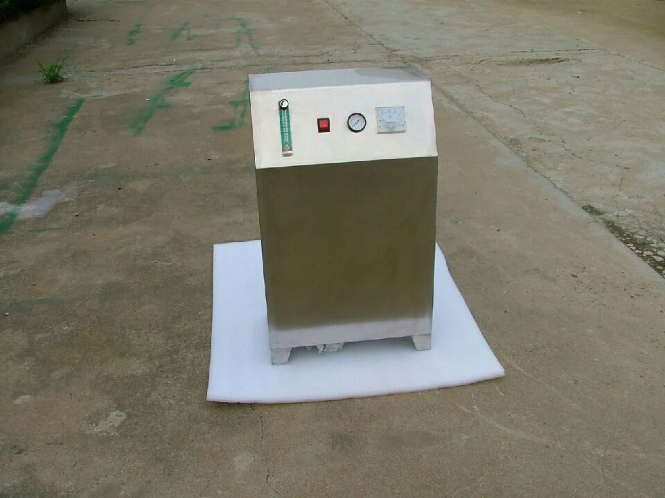 Industrial Ozone Generator with Oxygen Feeding 50g